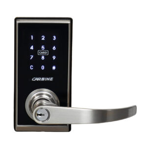 Carbine CEL2 Digital Leverset Standalone